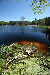 Image showing lake