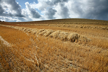 Image showing nature landscape