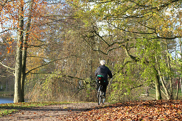 Image showing danish landscape01