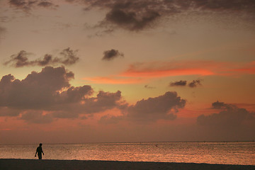 Image showing maldives islands