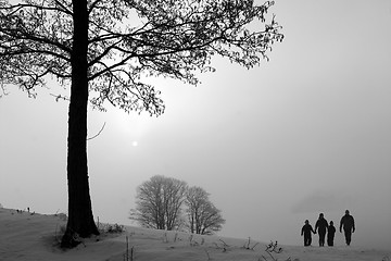 Image showing winter in denmark