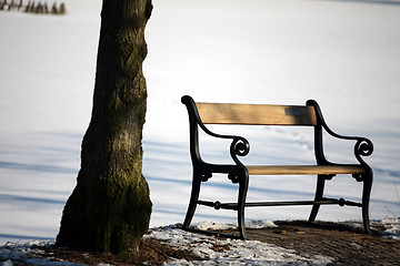 Image showing winter bench