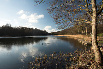 Image showing lake forest