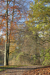 Image showing danish landscape01