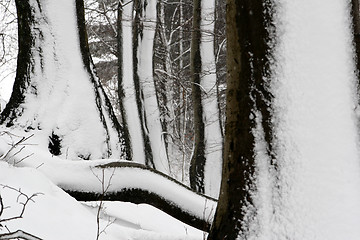 Image showing nature landscape