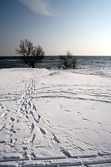 Image showing winter in denmark