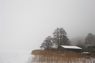 Image showing winter in denmark