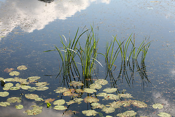 Image showing lake