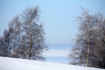 Image showing snowy winter