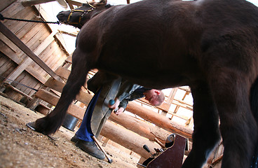 Image showing Blacksmith at work