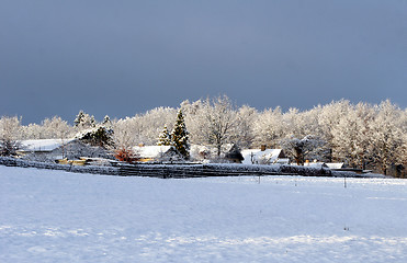 Image showing winter