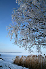 Image showing winter in denmark