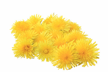 Image showing yellow flowers