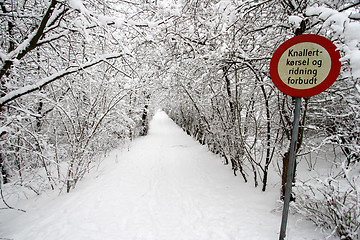 Image showing nature landscape