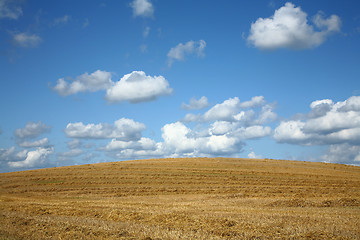 Image showing Clouds in blue sky over a dry field