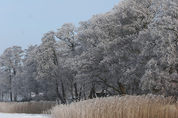 Image showing winter in denmark