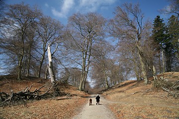 Image showing running