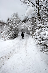 Image showing nature landscape