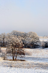 Image showing winter