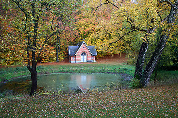 Image showing Trees and forest in Denmark