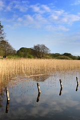 Image showing lake