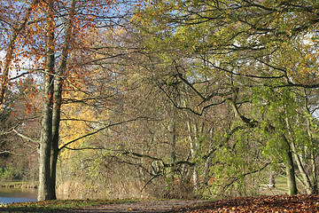 Image showing danish landscape01