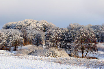 Image showing winter