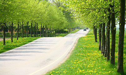 Image showing spring road