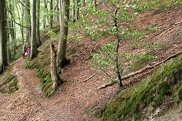 Image showing family and forest