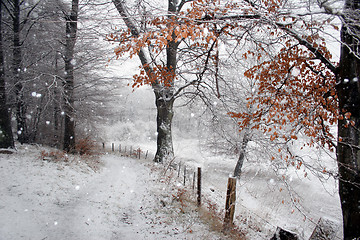 Image showing danish winter 