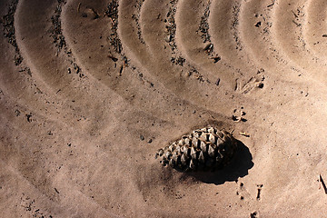 Image showing sand  structure