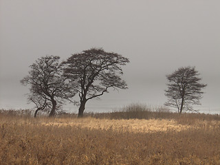 Image showing  nature landscape