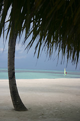 Image showing maldives islands