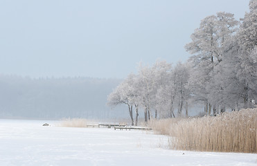 Image showing winter in denmark