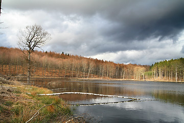 Image showing trees and lake