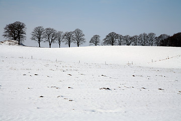 Image showing snowy winter