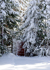 Image showing Gate in a snow woods