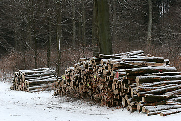 Image showing winter in denmark