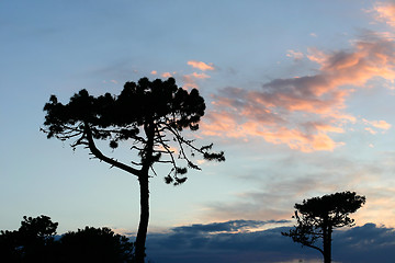 Image showing Corsican sceneries