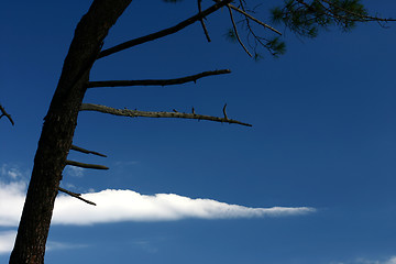 Image showing Corsican sceneries