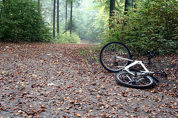 Image showing bike accident