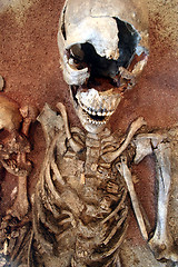 Image showing skeleton