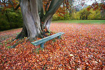 Image showing bench