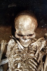 Image showing skeleton