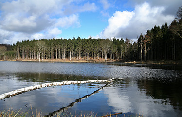 Image showing trees and lake