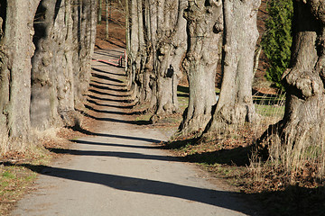 Image showing alley