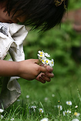 Image showing flower child