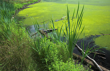 Image showing lake