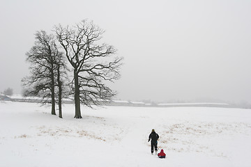 Image showing winter