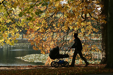 Image showing danish landscape